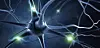 närv neuron