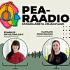 Pearaadio.