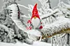 Häid pühi! Foto: Pixabay